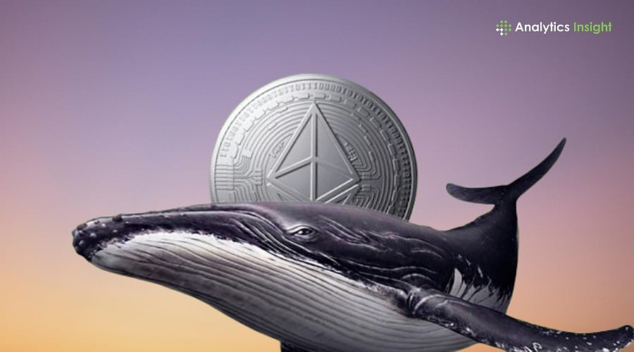 Ethereum Whales Dump Reserves in 2026: Is a Bigger Move Coming?