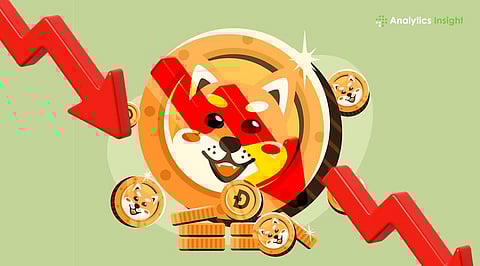 Will Shiba Inu Price Fall After 370 Billion SHIB Whale Transfer?