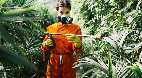 From Guesswork to Algorithms