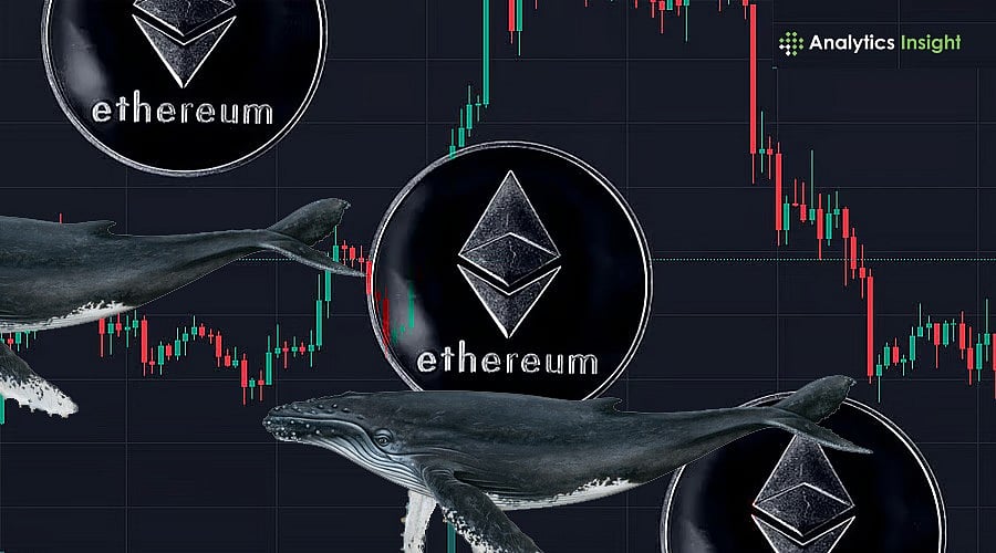 Ethereum Price Faces Pressure as Whales and Derivatives Traders Exit