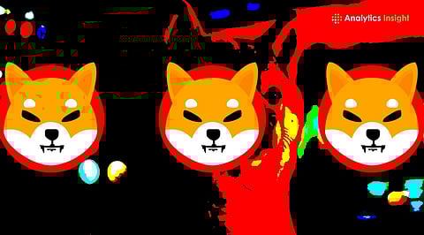 Shiba Inu (SHIB) Falls 17% in Two Weeks: Could It Drop 75% Next?