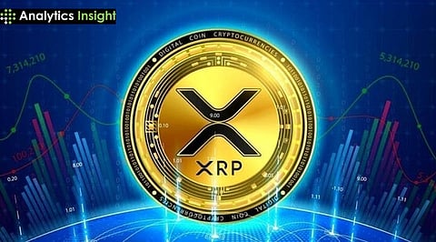 Crypto Market Update