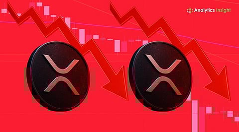 XRP Market Under Pressure: $50B in Unrealized Losses as Whales Continue Accumulating

