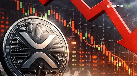 Is XRP Price About to Crash? Warning Signs Investors Should Know
