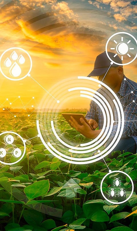 Top 10 AgriTech Companies in India in 2026