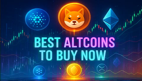 Here's Why Shiba Inu Holders Are Backing New PayFi Altcoin Remittix