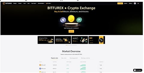 Bitfurex 
