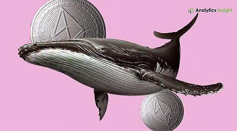 Ethereum Whale Profit Turns Positive, Signals Possible Rally