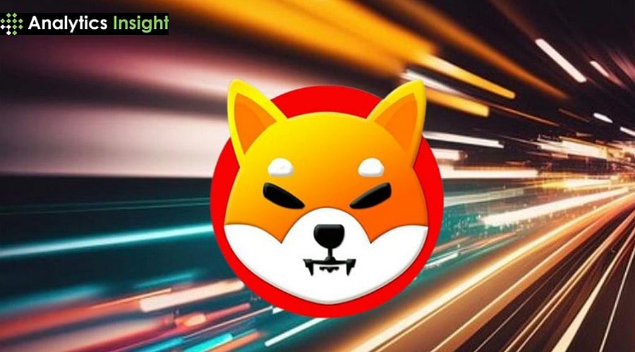 SHIB Outflows Rise as Team Silence Fuels Market Caution