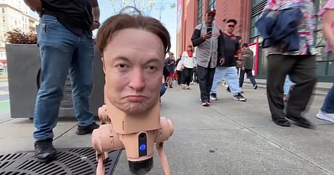 Uncanny Elon Musk Robot Dog Spotted Roaming San Francisco Streets