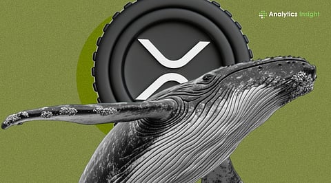 Are XRP Whales Signaling Another Rally? 2021 Levels Return