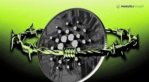 Cardano Price Signals Caution Below $0.250 as Whale Selling Weighs on ADA