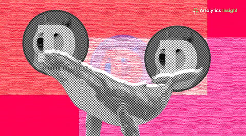 Dogecoin Whale Holdings Hit Record as DOGE Activity Spikes Again