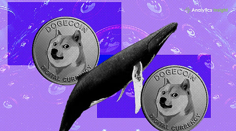 Dogecoin Gains Big Investor Interest as Whales Add 160M DOGE
