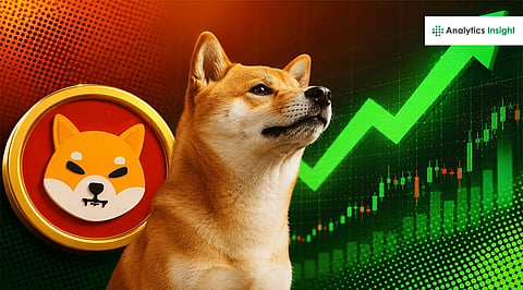 Shiba Inu News Today