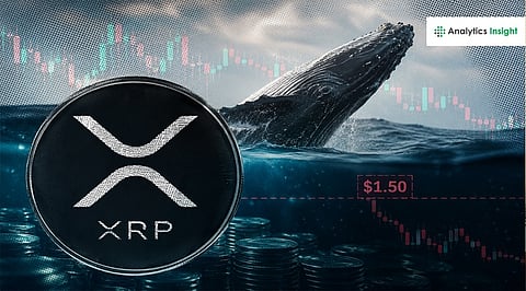 XRP News Today: XRP Whales Hold Most Tokens Since 2018, Yet Price Remains Stuck Below $1.50