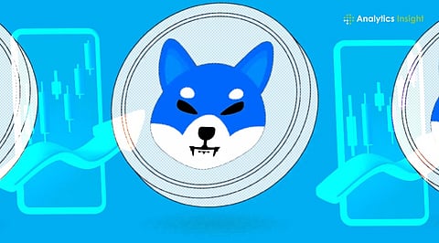 Best Crypto Exchanges for Shiba Inu Trading 2026.jpg