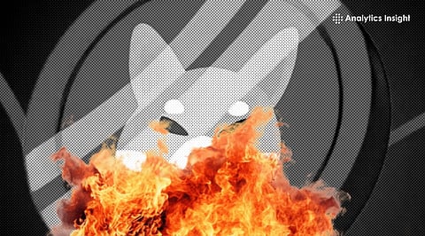 Shiba Inu Burn Rate Up 1034% While Price Fails at $0.0000648 Resistance