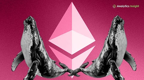 Ethereum Whale Makes $13M Bet on ETH After $33M Loss: Reason Explained 