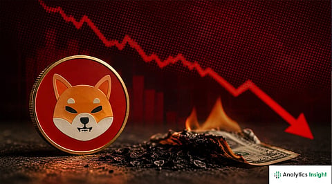 Shiba Inu Price Today: Burn Rate Slumps as SHIB Holds Near $0.000004 Low Again