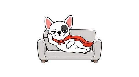 KryptoPaws