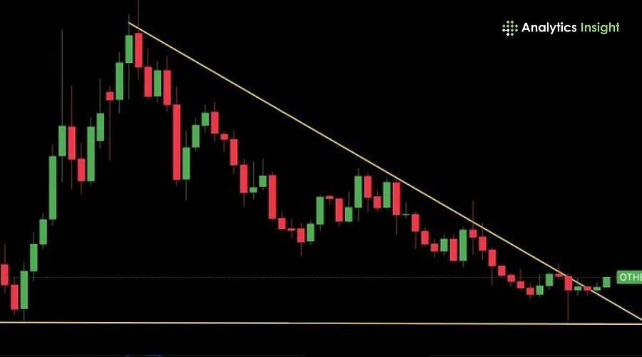 Is Altseason Back? Altcoin Supply Squeeze Signals Market Shift