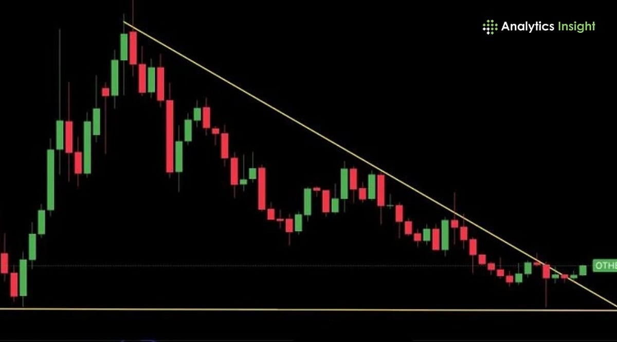 Is Altseason Back? Altcoin Supply Squeeze Signals Market Shift
