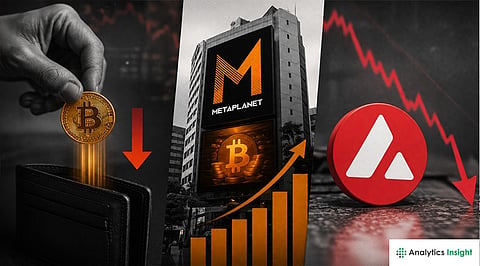 Crypto News Today: Bitcoin Outflows, Metaplanet BTC Business Revenue, and AVAX Treasury Stock Decline
