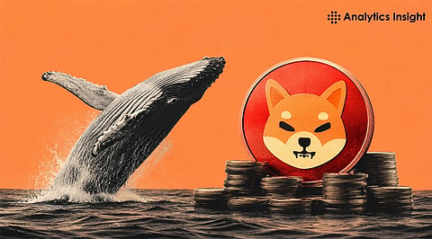 Shiba Inu Price Today: SHIB Whales Withdraw 174B SHIB as Support Holds and Wallets Surge