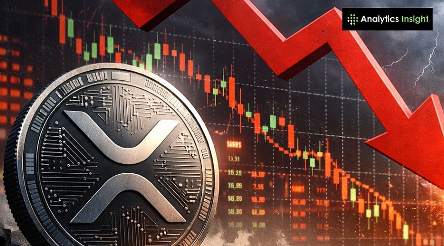 Will XRP Crash 50%? Key Risks Every Ripple Investor Should Know