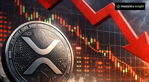 Will XRP Crash 50%? Key Risks Every Ripple Investor Should Know