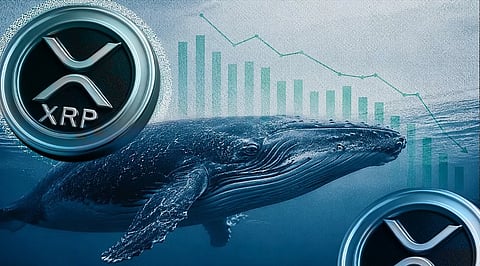 XRP Price Analysis: Can Ripple Recover After Whale Activity and ETF Demand Weaken? 