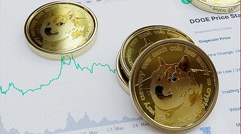 Dogecoin Price Nears 2023 Low as Whale Buy Fuels Reversal Hopes