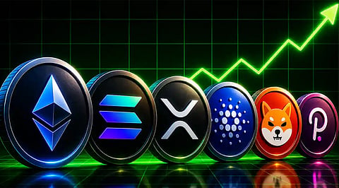Top 8 Crypto Apps Every Investor Should Know