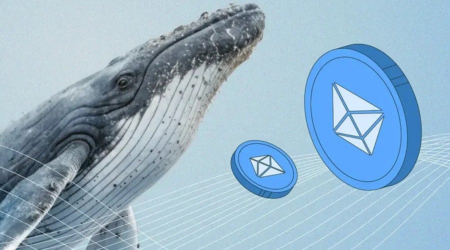 Ethereum Whale Adds 121,000 ETH as BitMine Expands its Holdings