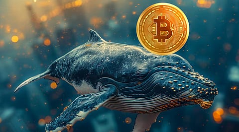 10 Bitcoin Whale Signals to Watch in September 