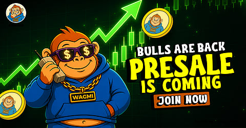 best meme coin presale 2026
