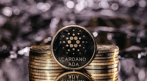 Cardano Price Tests USD 0.245 as Funding Turns Positive After 15% Rally
