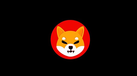 Where is Shiba Inu Meme Coin Heading?