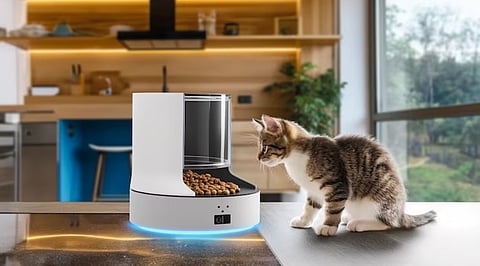 How Automatic Smart Cat Feeders Are Bringing IoT Into the Connected Home.