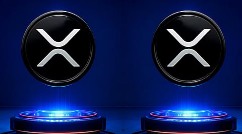 XRP Holders Ranked: Who Owns the Most XRP in 2026?