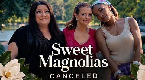 Why Netflix Canceled Sweet Magnolias After Five Seasons