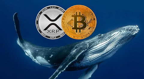 Crypto News Today: Bitcoin Outflows, Kazakhstan Explores Tenge Stablecoin, XRP Whale Dominance Falls