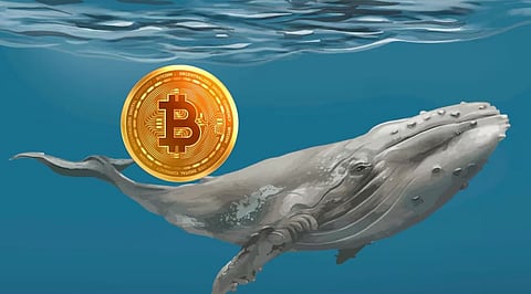 Bitcoin Whale Awakens After 13 Years, Moves USD 34 Million in BTC