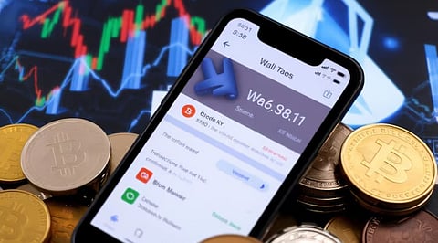Can a Phone Provide Hardware-Level Protection for Crypto Wallets