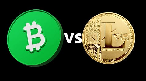 Bitcoin Cash vs Litecoin_ Which Payment Coin Has More Upside in 2026_.