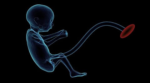 High Potential AI System Can Analyze Placentas for Childbirth Information