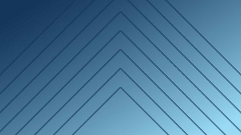 Championing the Capabilities of Effective Analytics Leadership to Drive Efficiency