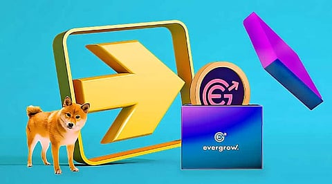 Shiba Inu, Safemoon, and EverGrow – Trending Currencies of This week!