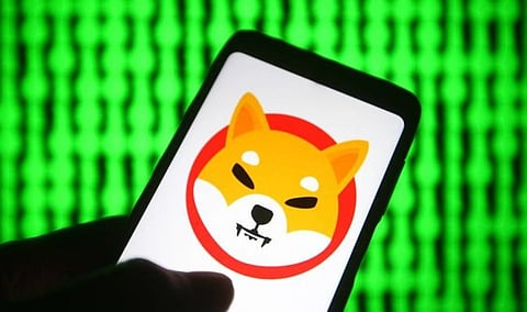 Shiba Inu Gains 25% in Feb 2022 – but are memecoins a safe investment?